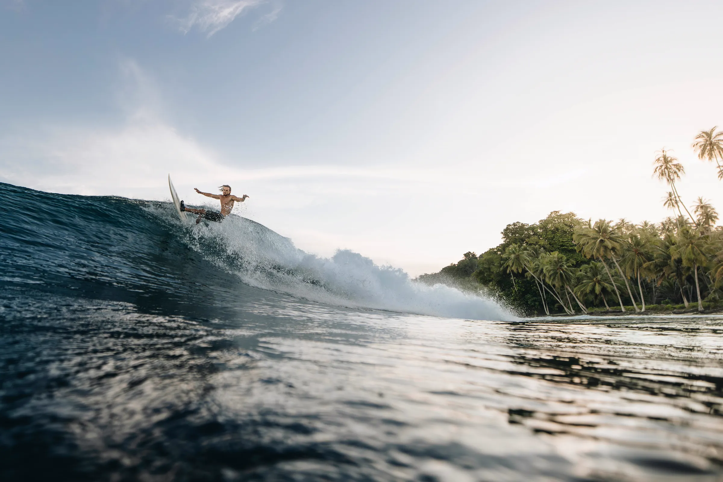 The Surfer